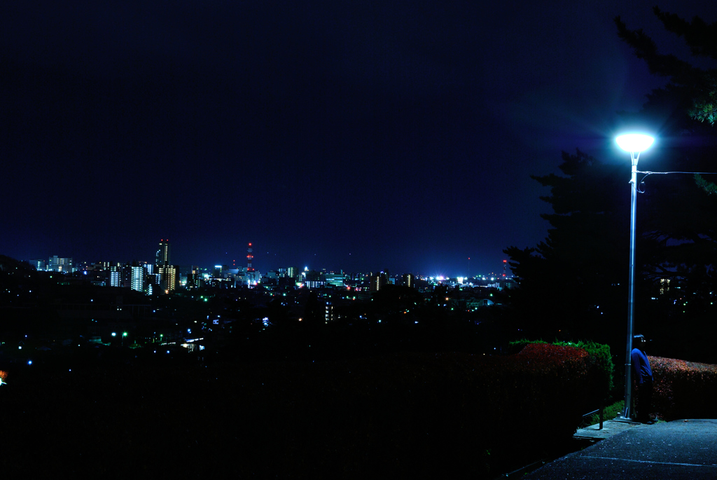 夜景×街灯