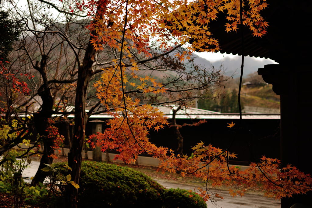 宝珠山立石寺 × 紅葉