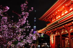 桜 × 東京スカイツリー × 宝蔵門