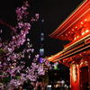 桜 × 東京スカイツリー × 宝蔵門