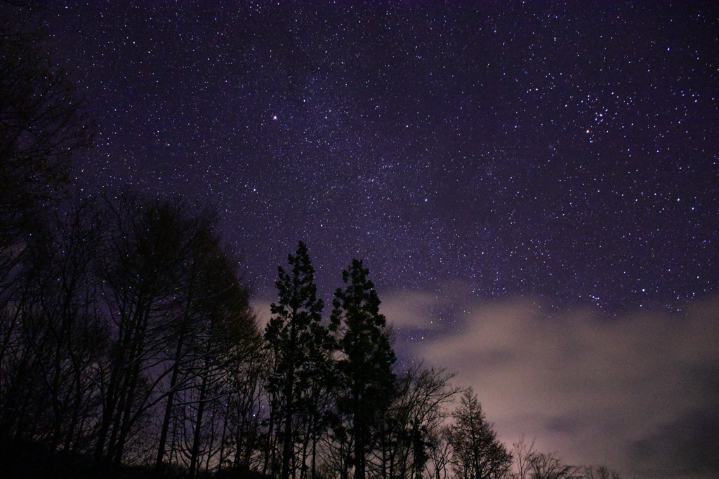 星空 × 林