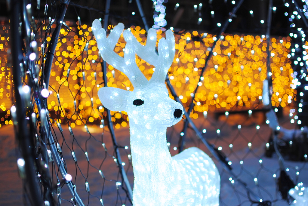 X'mas×イルミネーション