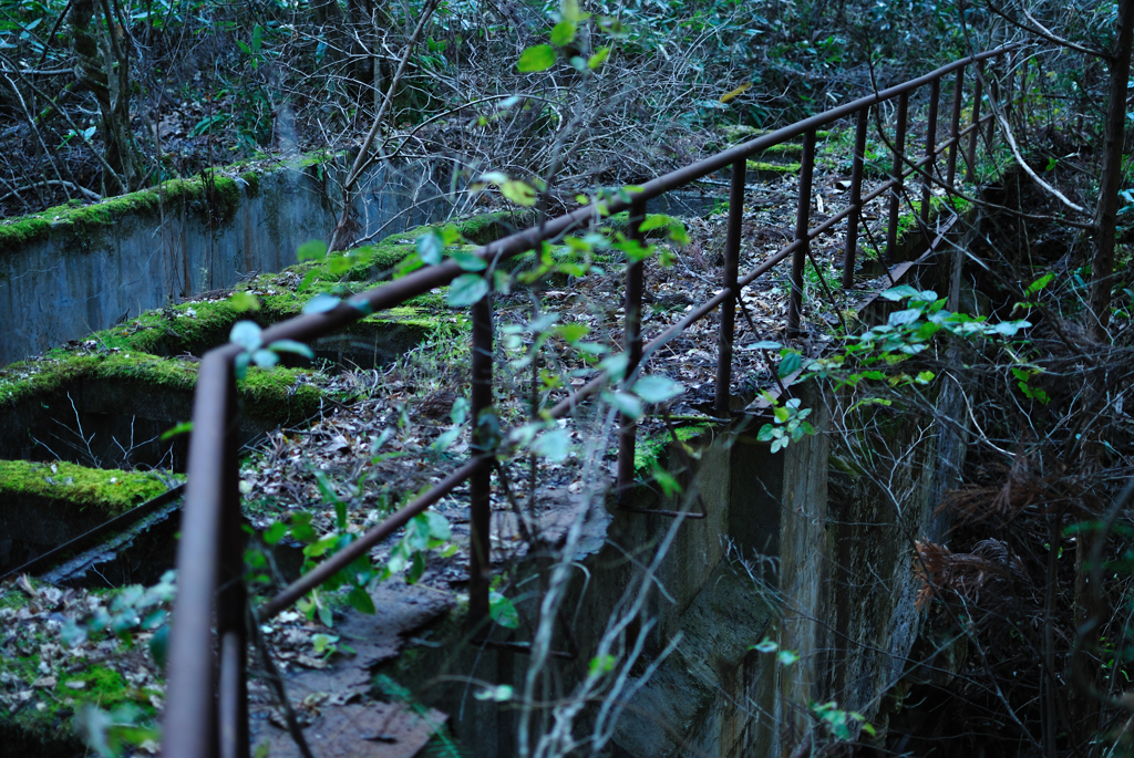 廃隧道×沢