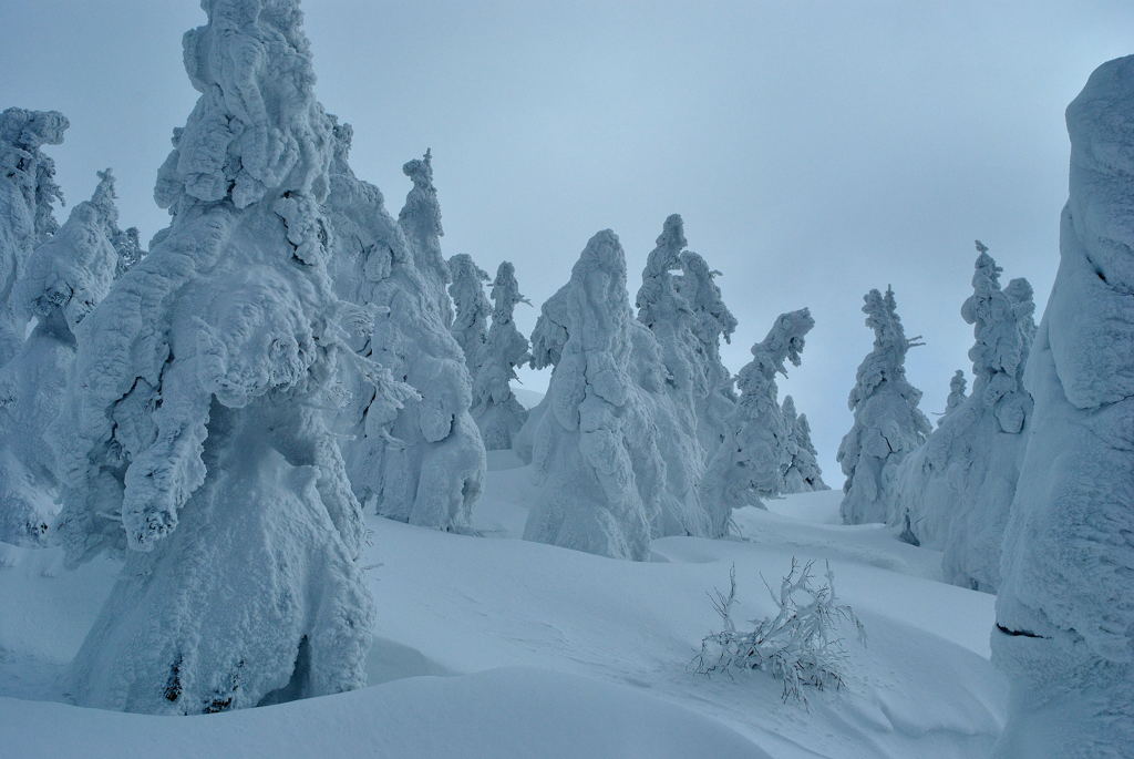 Ice Monsters × Mt.Moriyoshi