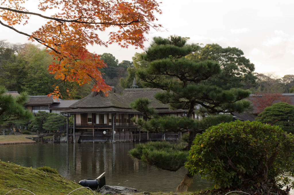 国宝彦根城・名勝玄宮楽々園