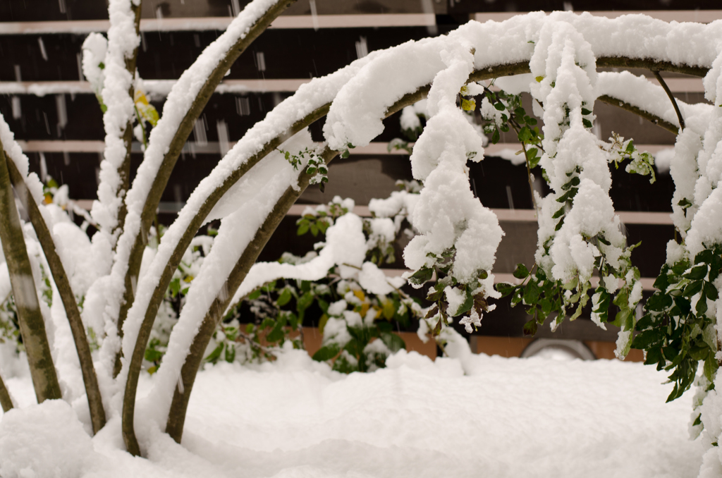 フライング積雪