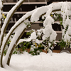 フライング積雪