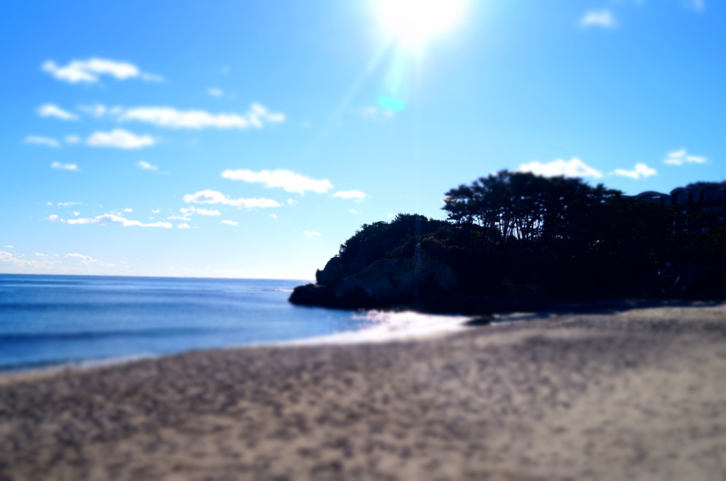 おもちゃの海