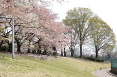 150412__土手遊び
