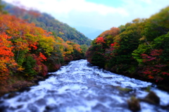 おもちゃの竜頭と紅葉