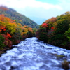 おもちゃの竜頭と紅葉