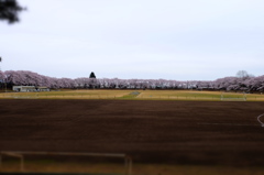 150404__おもちゃの総合グランド~グランド~