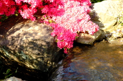石川華__150426