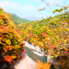おもちゃの紅葉と渓