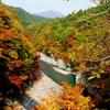 紅葉と渓