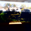 150214__おもちゃの水槽
