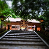 おもちゃ寺