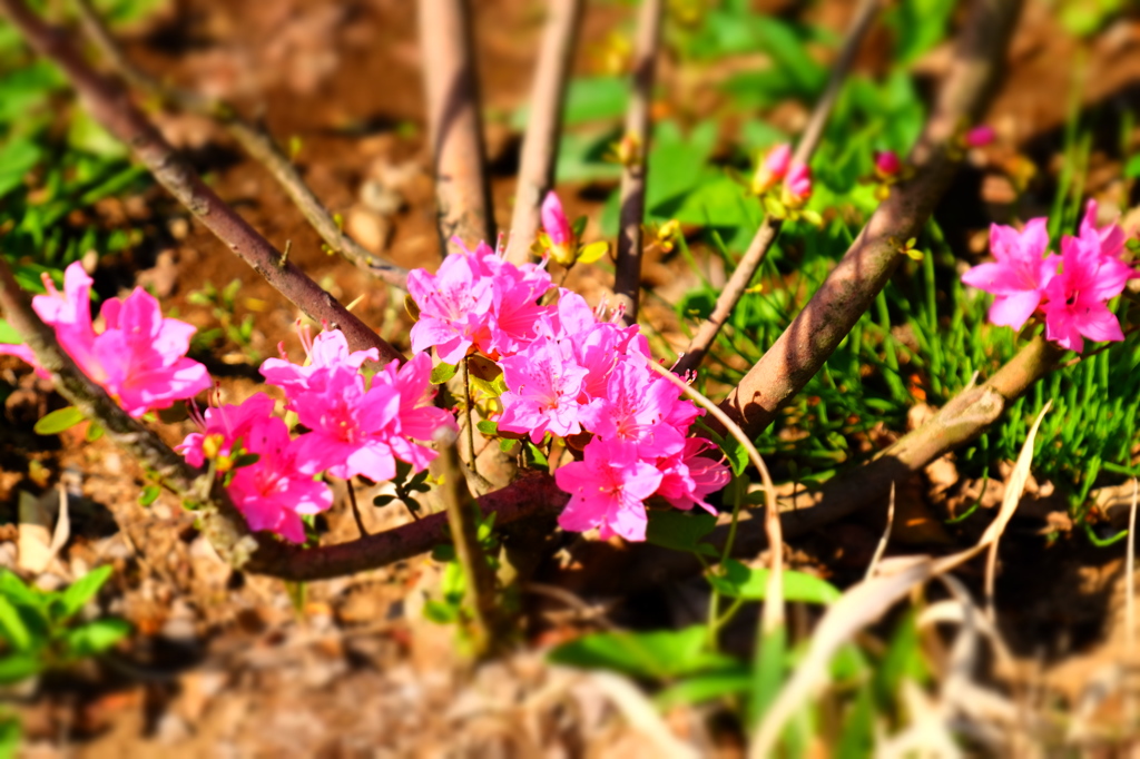 足華__150426