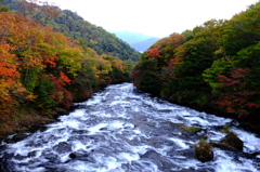 竜頭と紅葉