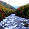 竜頭と紅葉