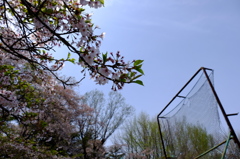 150412__来年