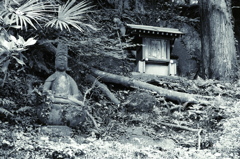 座する者