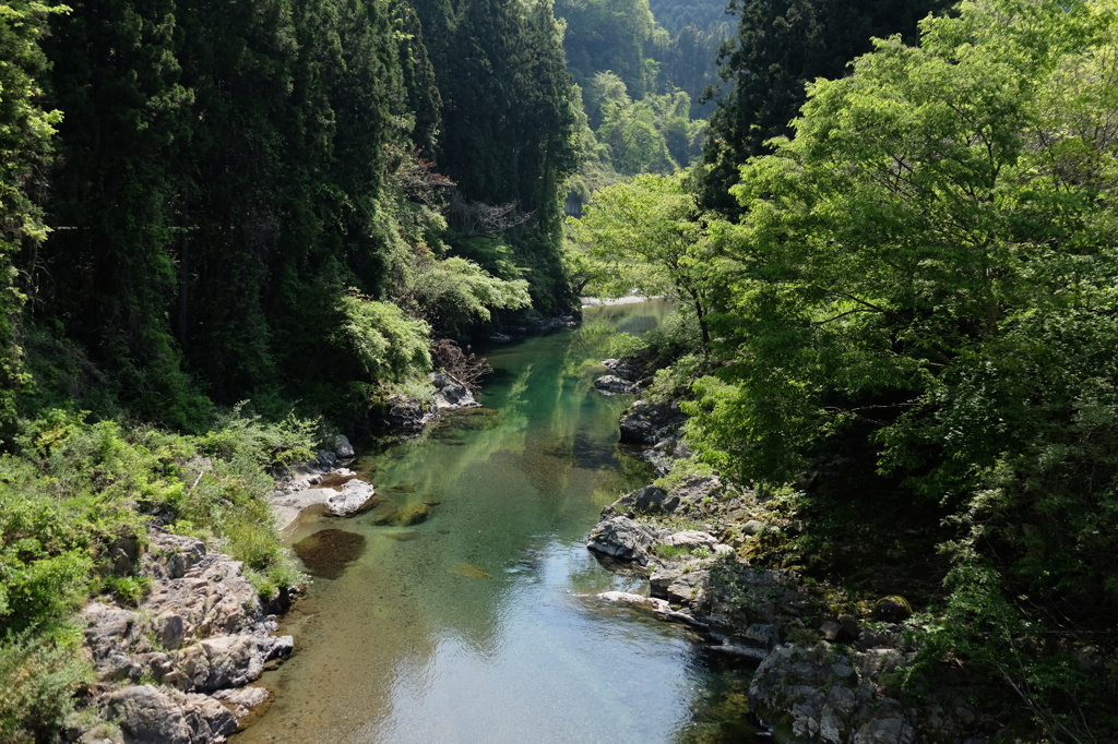 150502__大芦川1