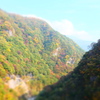 おもちゃの紅葉