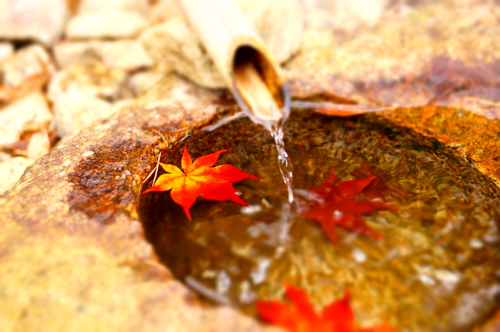 紅葉お水おもちゃ