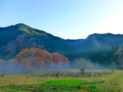 晩秋の里山
