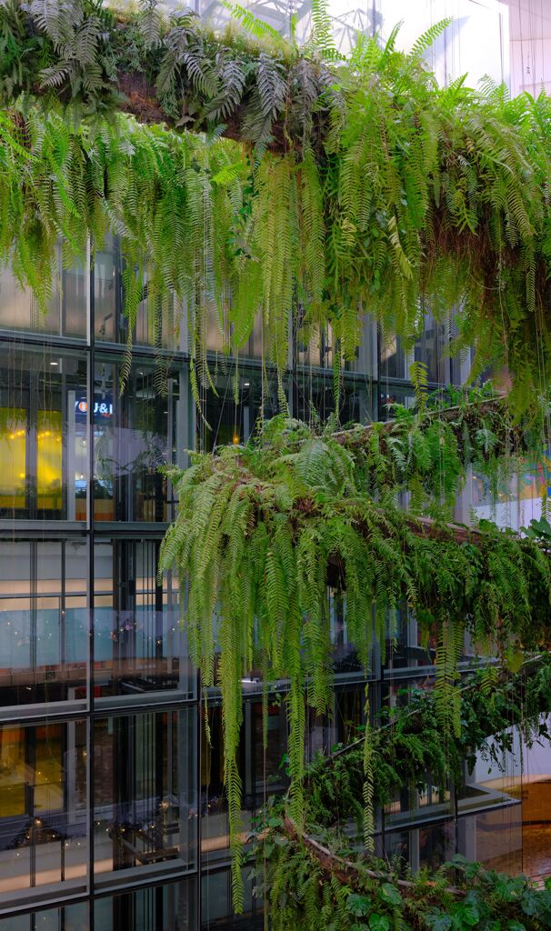 都会のオアシス