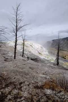 Yellowstone  Terrace Mountain