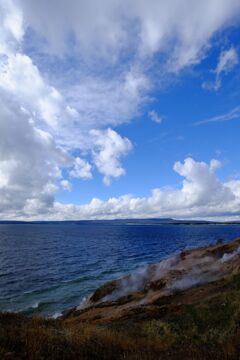 Yellow stone national park