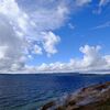 Yellow stone national park
