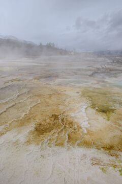 Yellow stone national park