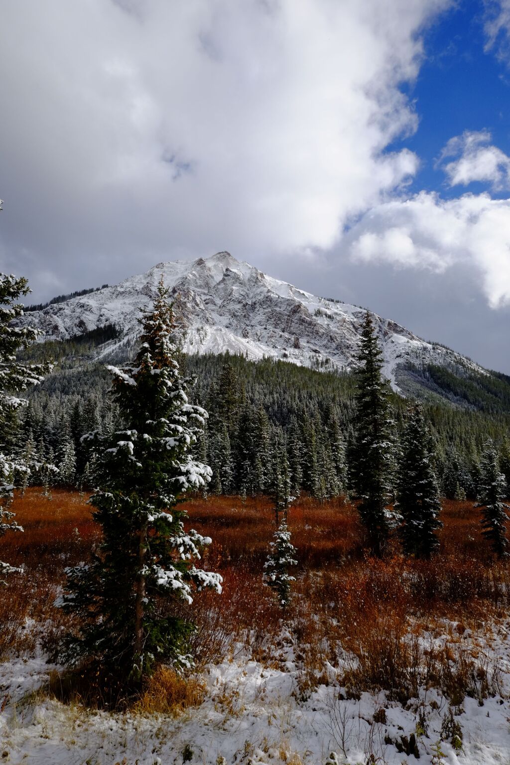 Yellow stone national park