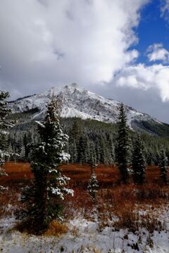 Yellow stone national park