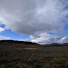 Yellow stone national park