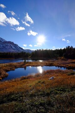 Yellow stone national park