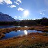 Yellow stone national park