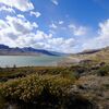 Yellow stone national park