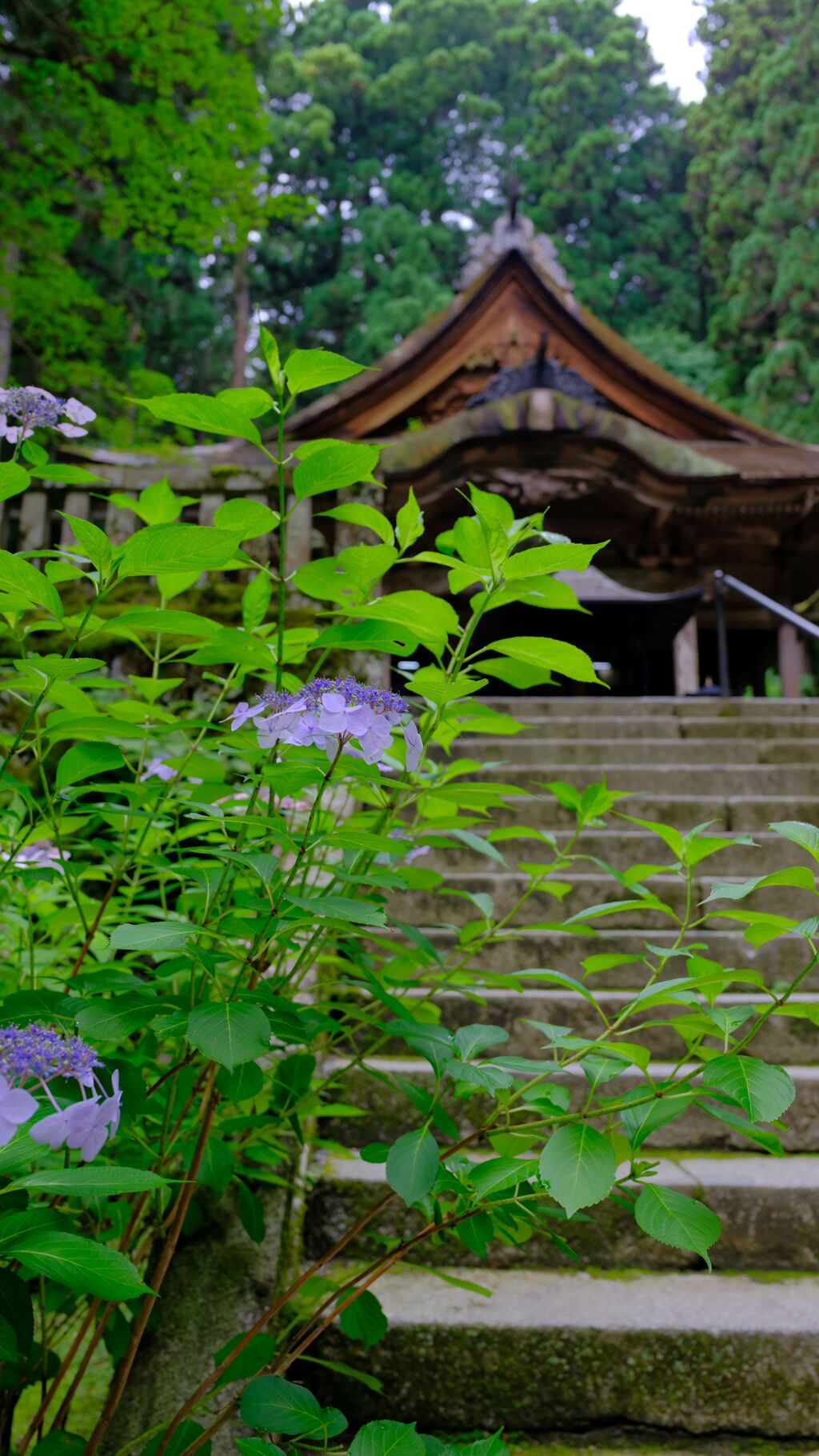 光前寺