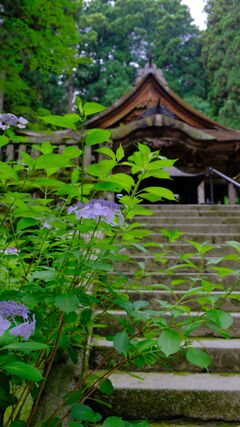 光前寺