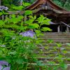 光前寺