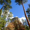 Devils Tower