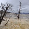Yellow stone national park