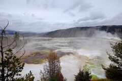 Yellow stone national park