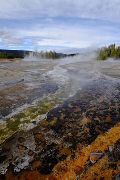 Yellow stone national park