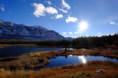 Yellow stone national park