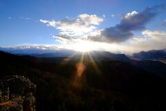 Yellow stone national park
